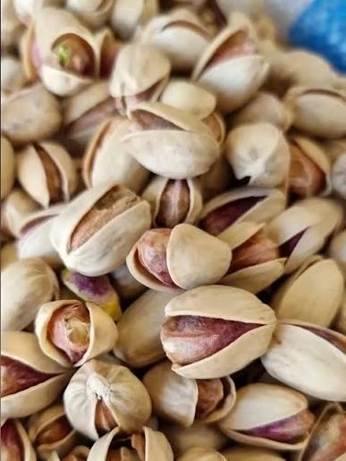 پسته کله قوچی درشت ایرانی + انتخابی چشمگیر برای آجیل فروشی ها + قیمت و خرید عمده